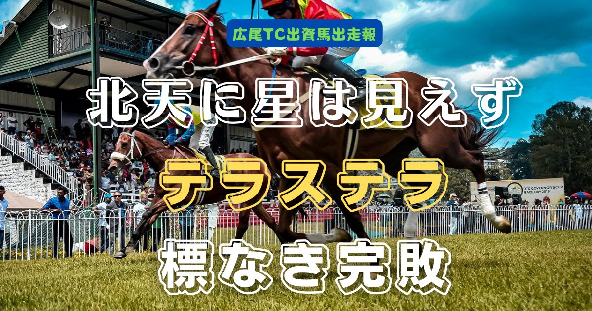 北天に星は見えず　テラステラ　標なき完敗